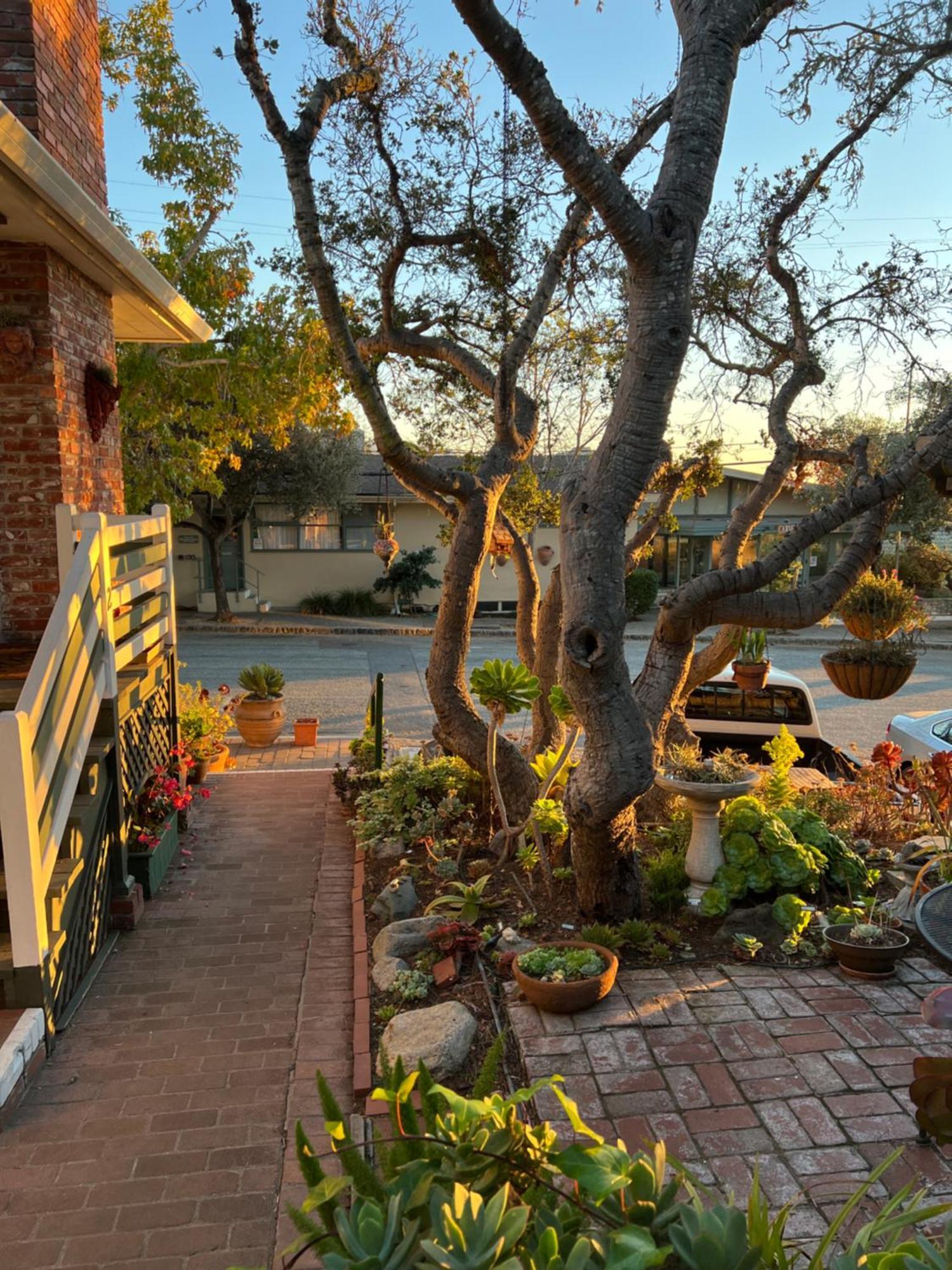 Carmel Garden Inn Exteriér fotografie